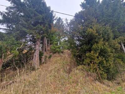 Grundstück kaufen in 3400 Klosterneuburg