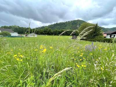 Grundstück kaufen in 8101 Kirchenviertel