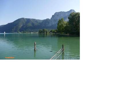 Gewerbeobjekt mieten in 5310 Sankt Lorenz