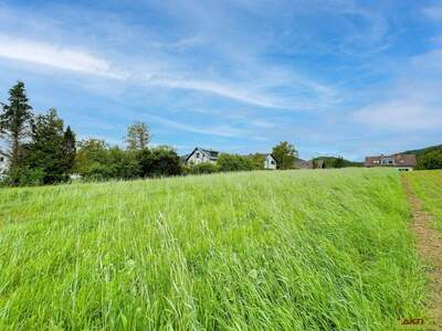 Grundstück kaufen in 8045 Stattegg