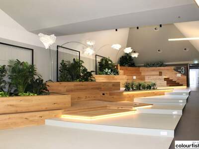 Gewerbeobjekt mieten in 1100 Wien (Bild 3)