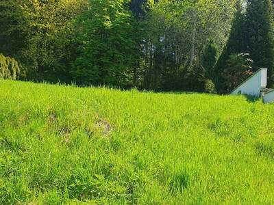 Grundstück kaufen in 6116 Weer (Bild 4)