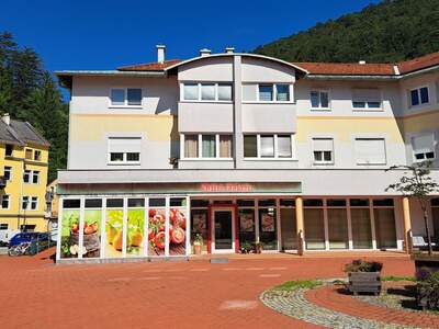Wohnung mieten in 2770 Gutenstein (Bild 2)