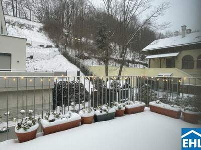 Terrassenwohnung mieten in 2391 Kaltenleutgeben (Bild 4)