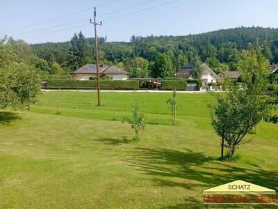 Grundstück kaufen in 2571 Thenneberg (Bild 2)