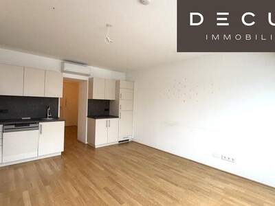 Terrassenwohnung mieten in 1020 Wien (Bild 2)