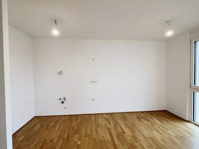 Terrassenwohnung kaufen in 1230 Wien (Bild 5)