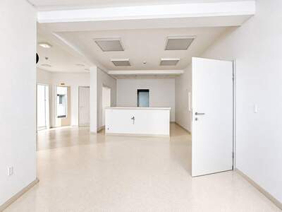 Gewerbeobjekt mieten in 9125 Kühnsdorf (Bild 3)