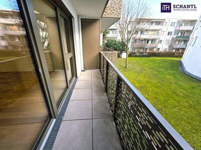 Terrassenwohnung kaufen in 1230 Wien (Bild 2)