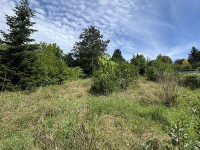 Grundstück kaufen in 3400 Klosterneuburg (Bild 1)
