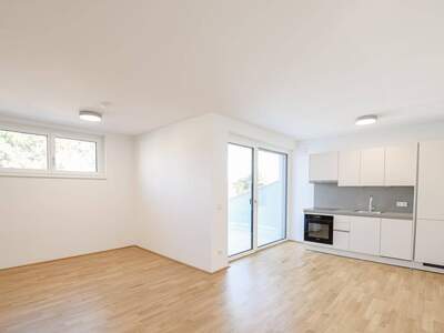 Wohnung mieten in 1190 Wien