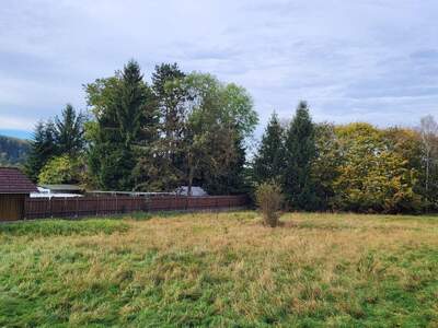 Grundstück kaufen in 4694 Sandhäuslberg