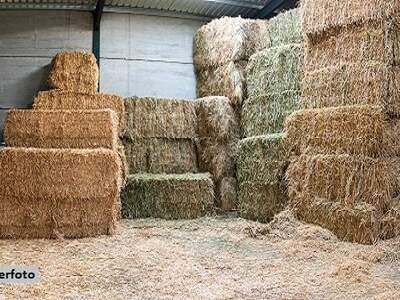 Gewerbeobjekt kaufen in 8523 Deutschlandsberg