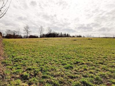 Grundstück kaufen in 8101 Gratkorn (Bild 5)