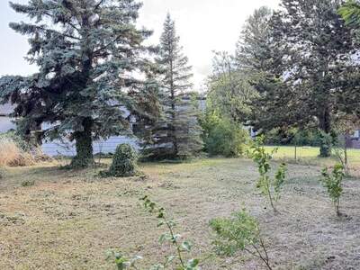 Grundstück kaufen in 2353 Guntramsdorf (Bild 3)