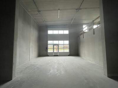 Gewerbeobjekt mieten in 4052 Ansfelden (Bild 5)