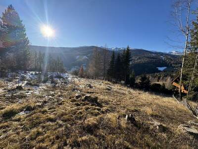 Grundstück kaufen in 8742 Mönchegg (Bild 1)