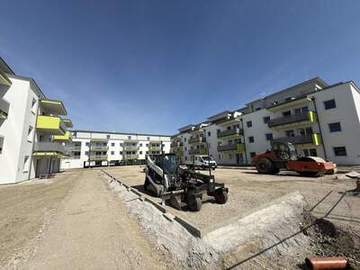 Terrassenwohnung kaufen in 2442 Unterwaltersdorf (Bild 2)