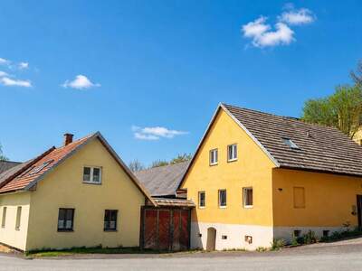 Haus kaufen in 2852 Gschaidt