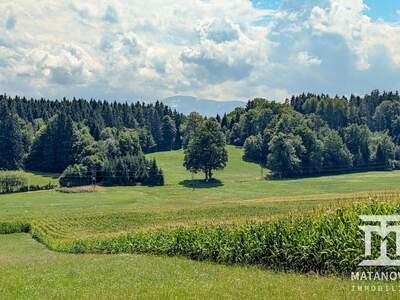 Gewerbeobjekt kaufen in 9062 Tigring (Bild 1)