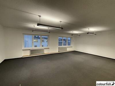 Gewerbeobjekt mieten in 1030 Wien (Bild 5)