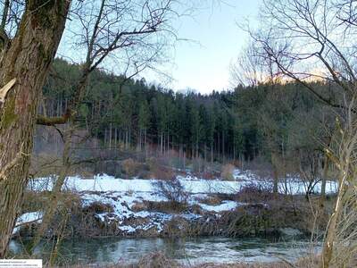 Grundstück kaufen in 8410 Weitendorf (Bild 4)