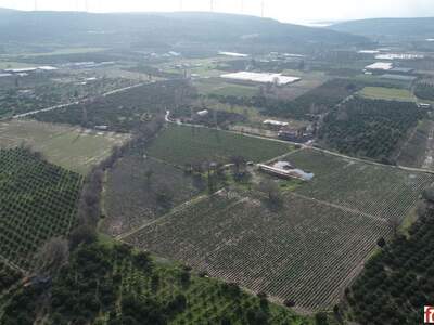 Grundstück kaufen in 150186 Seferihisar (Bild 2)