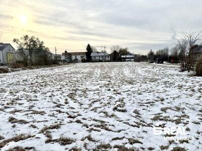 Grundstück kaufen in 4070 Pupping (Bild 2)