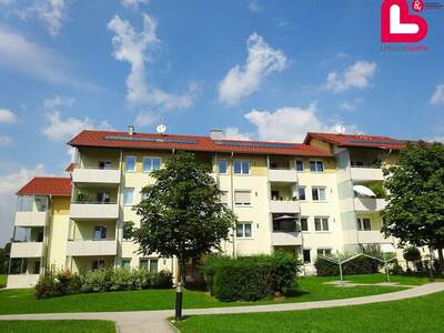 Wohnung mieten in 4560 Kirchdorf (Bild 1)