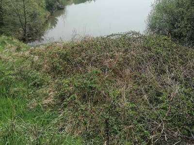 Gewerbeobjekt kaufen in 3542 Waldviertel