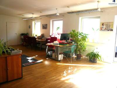 Gewerbeobjekt mieten in 9560 Feldkirchen (Bild 3)