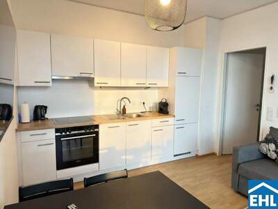 Terrassenwohnung mieten in 1030 Wien (Bild 3)