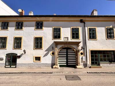Gewerbeobjekt mieten in 2700 Wiener Neustadt (Bild 2)