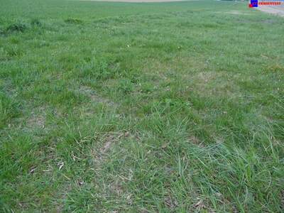 Grundstück kaufen in 7024 Hirm