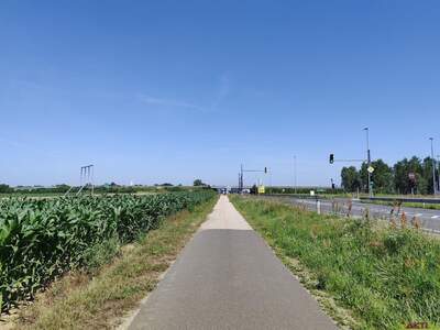 Gewerbeobjekt kaufen in 9231 Beltinci (Bild 5)