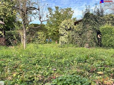 Grundstück kaufen in 7061 Trausdorf