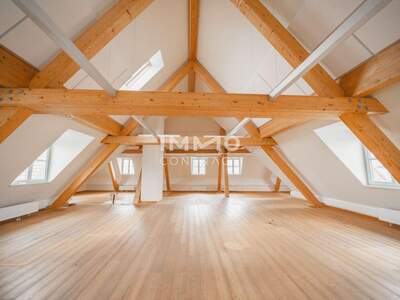 Gewerbeobjekt kaufen in 2320 Mannswörth (Bild 3)