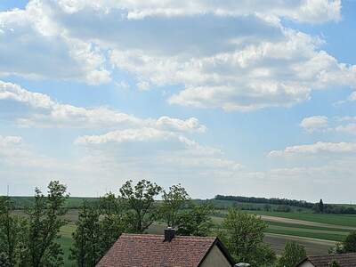 Grundstück kaufen in 2130 Mistelbach (Bild 1)