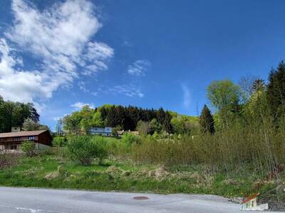 Grundstück kaufen in 3153 Eschenau (Bild 3)