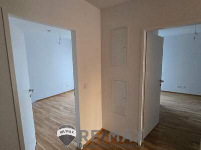 Terrassenwohnung kaufen in 2490 Ebenfurth (Bild 5)