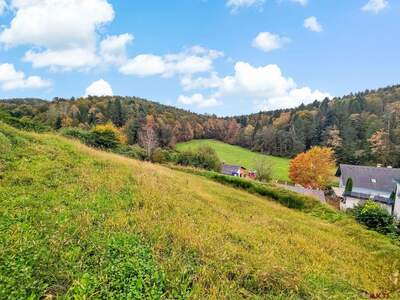 Grundstück kaufen in 8075 Hart (Bild 3)