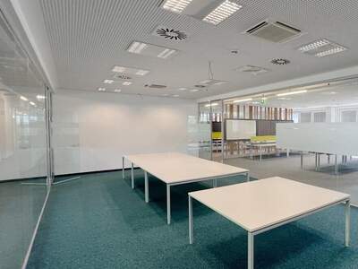 Gewerbeobjekt mieten in 4020 Linz (Bild 5)