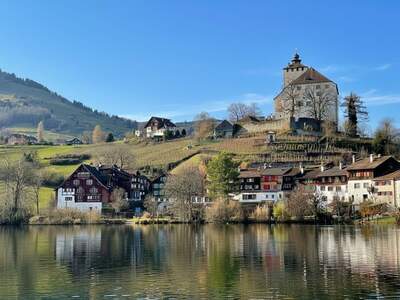 Haus kaufen in 9470 Werdenberg (Bild 1)