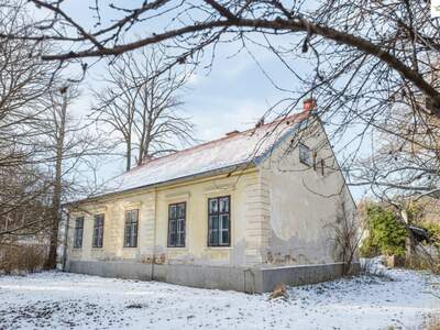 Haus kaufen in 2823 Pitten