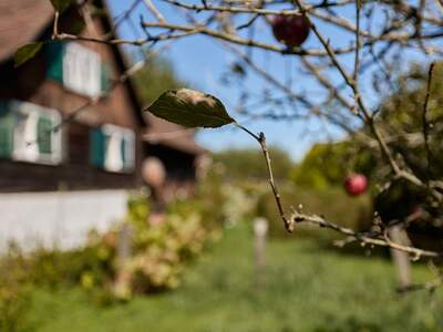 Grundstück kaufen in 6890 Lustenau (Bild 3)