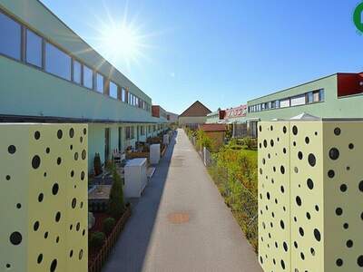 Haus mit Garten kaufen in 1220 Wien (Bild 1)