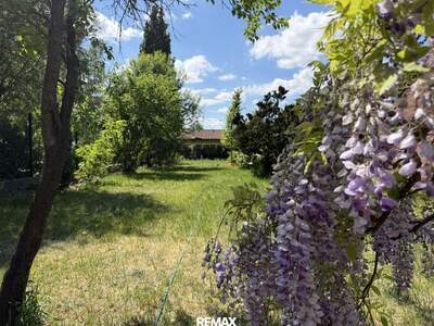 Haus mit Garten kaufen in 1230 Wien (Bild 2)