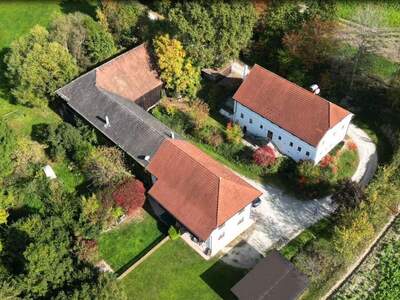 Haus kaufen in 4111 Walding