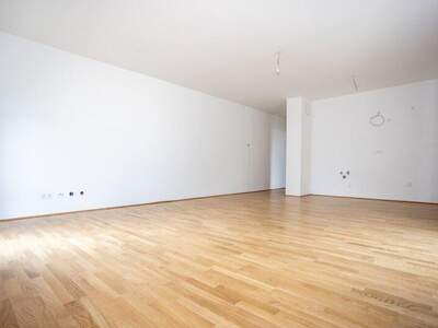 Terrassenwohnung kaufen in 2700 Wr. Neustadt (Bild 3)