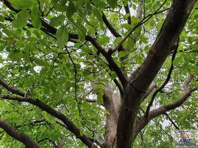 Gewerbeobjekt kaufen in 5330 Fuschl